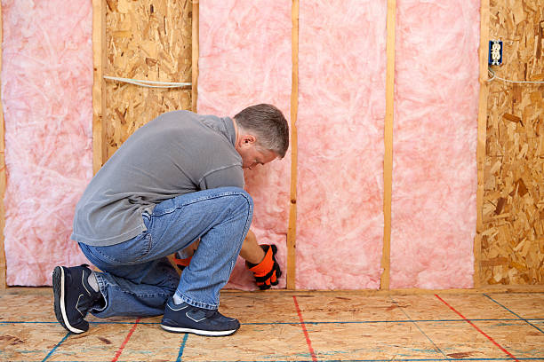 Types of Insulation We Offer in SC